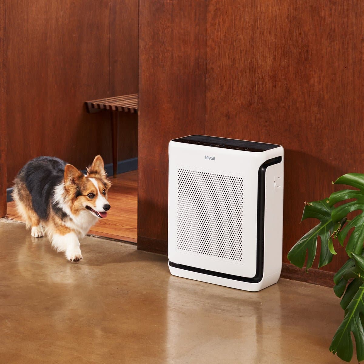Levoit Vital 200S-P Smart HEPA Air Purifier for Large Rooms, 1800+ sq ft